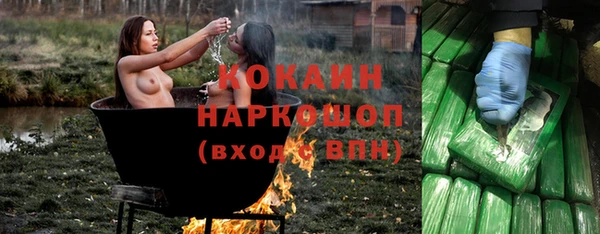 дживик Балахна